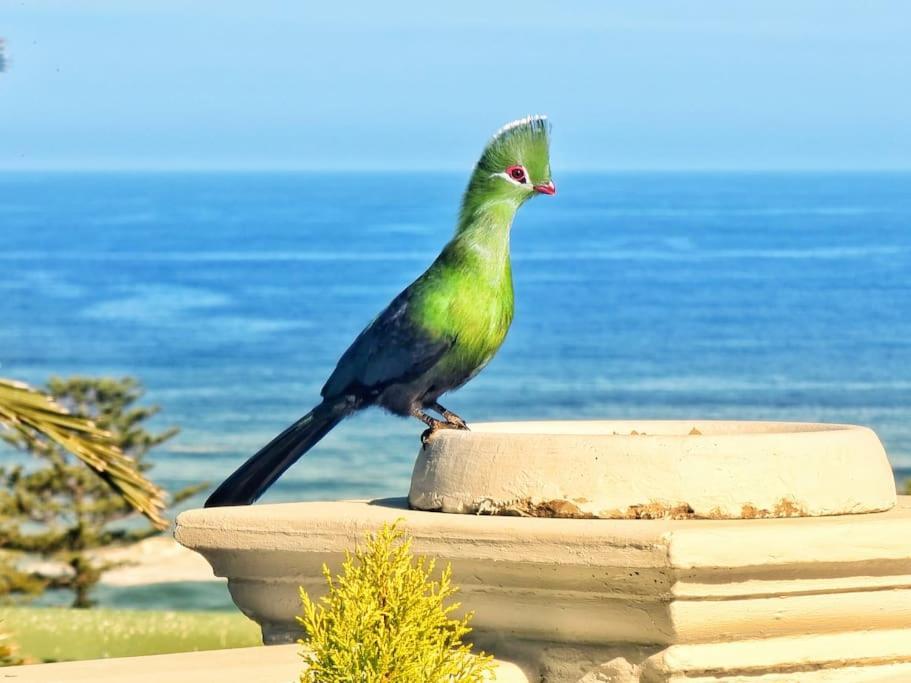 Livingstone Villa ワイルダーネス エクステリア 写真